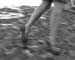 still007