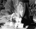 still082